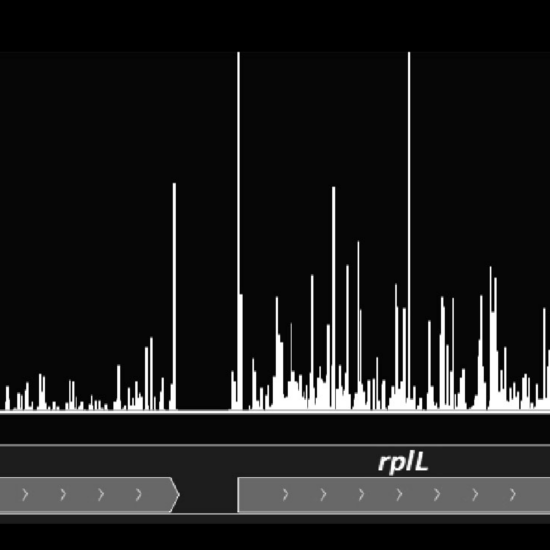 black and white chart illustration