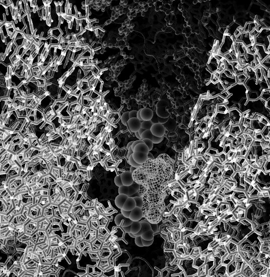 ribosome
